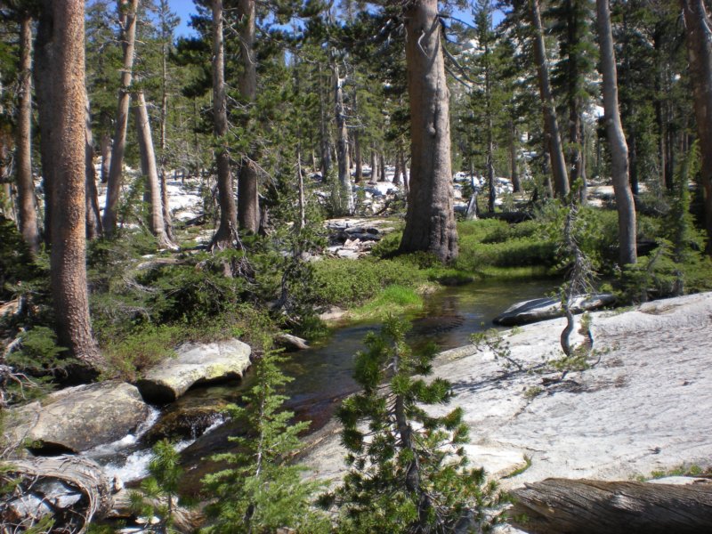 anseladamswillderness027.jpg