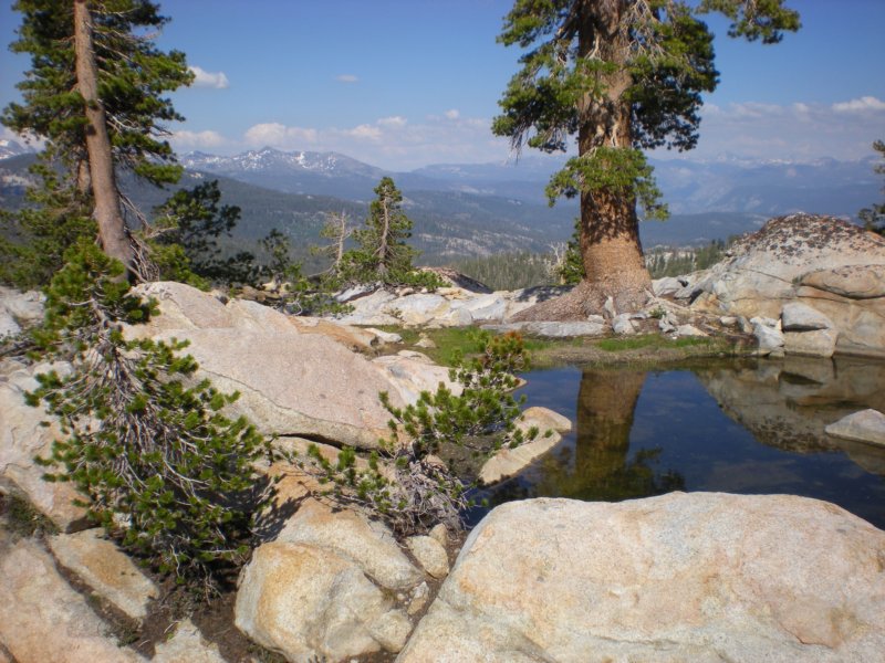anseladamswillderness043.jpg