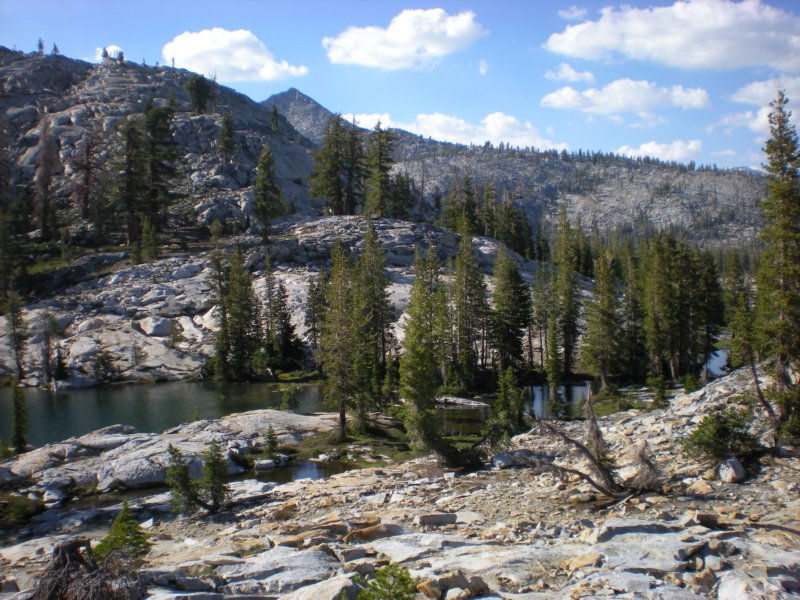 anseladamswillderness052.jpg