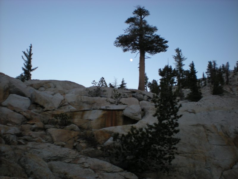 anseladamswillderness090.jpg