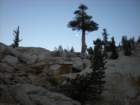 anseladamswillderness090_small.jpg