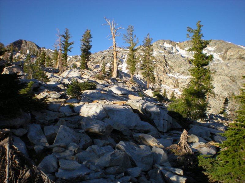 anseladamswillderness103.jpg