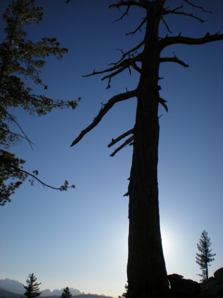 anseladamswillderness109.jpg