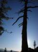 anseladamswillderness109_small.jpg