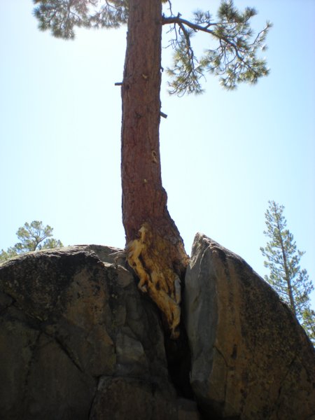 anseladamswillderness134.jpg