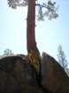 anseladamswillderness134_small.jpg