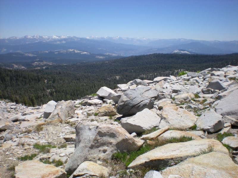 anseladamswillderness140.jpg