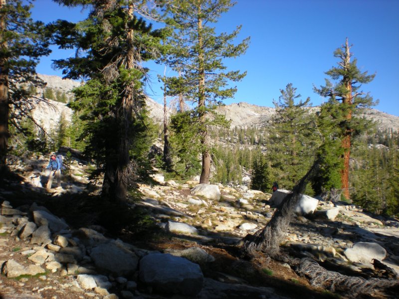 anseladamswillderness228.jpg