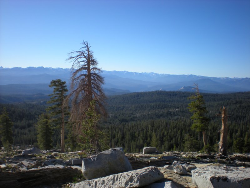 anseladamswillderness230.jpg