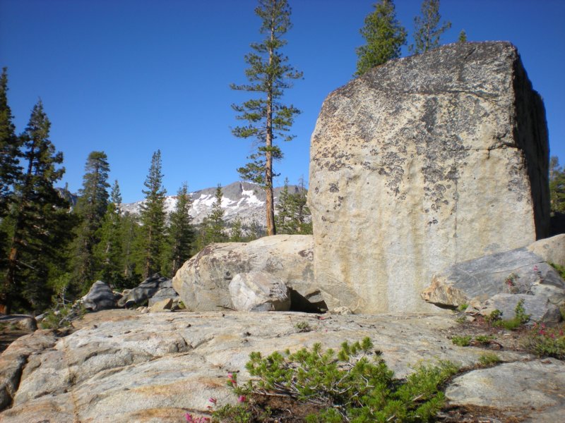 anseladamswillderness235.jpg