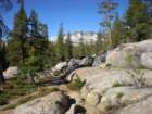 anseladamswillderness237_small.jpg