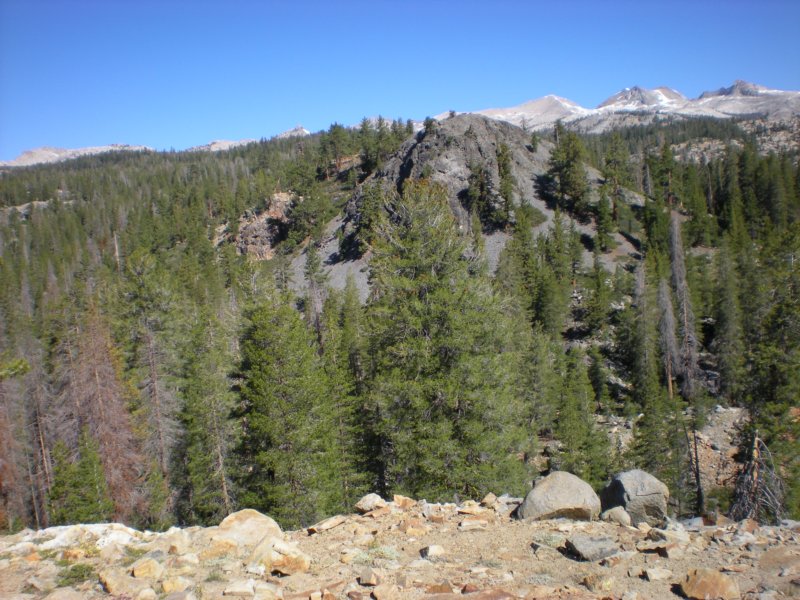 anseladamswillderness241.jpg