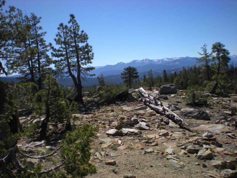 anseladamswillderness243.jpg