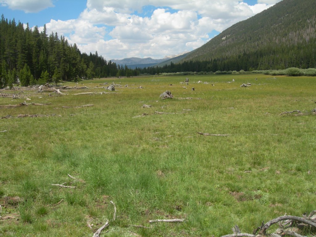 summertrip1029.jpg