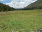 summertrip1029_small.jpg