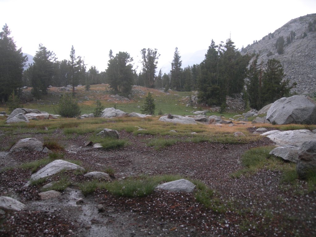 summertrip1056.jpg