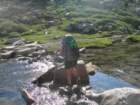summertrip1109_small.jpg
