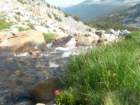 summertrip1119_small.jpg
