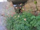 summertrip1120_small.jpg