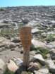 summertrip1132_small.jpg