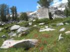 summertrip1152_small.jpg