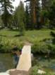 summertrip1167_small.jpg