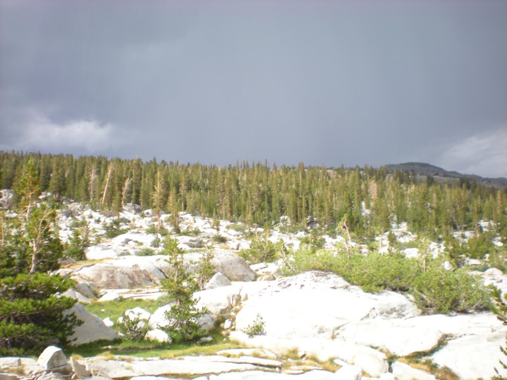 summertrip1200.jpg