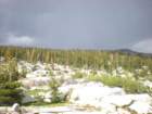 summertrip1200_small.jpg