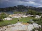summertrip1203_small.jpg