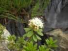 summertrip1209_small.jpg