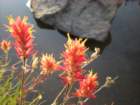 summertrip1250_small.jpg