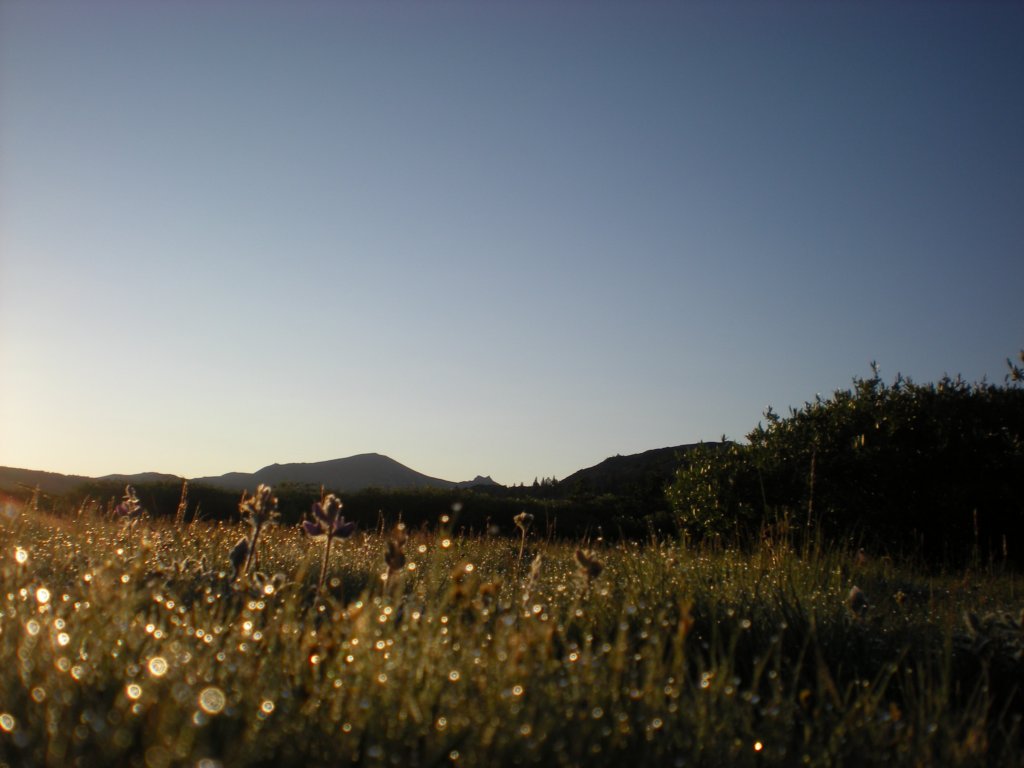 summertrip1267.jpg