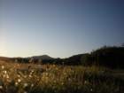 summertrip1267_small.jpg
