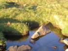 summertrip1274_small.jpg