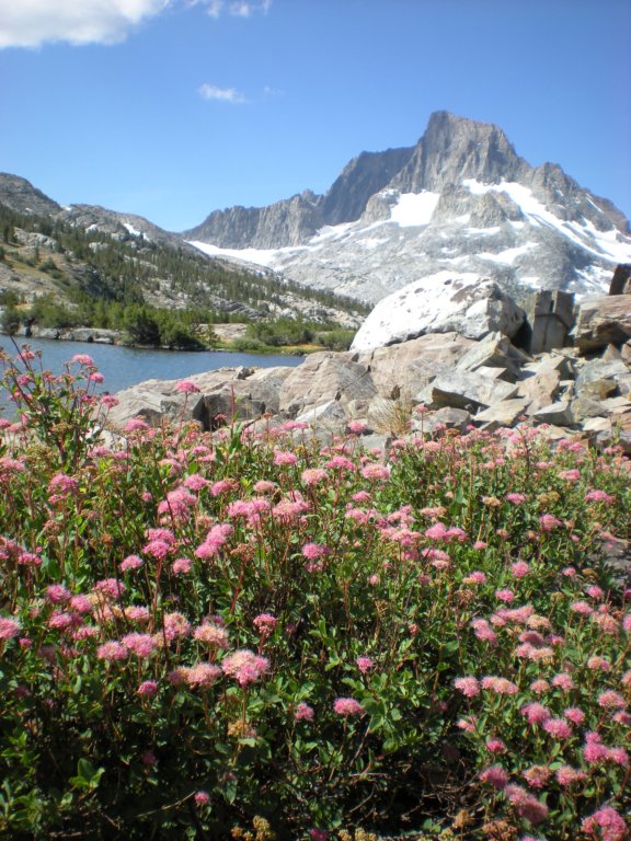 summertrip1288.jpg
