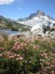 summertrip1288_small.jpg