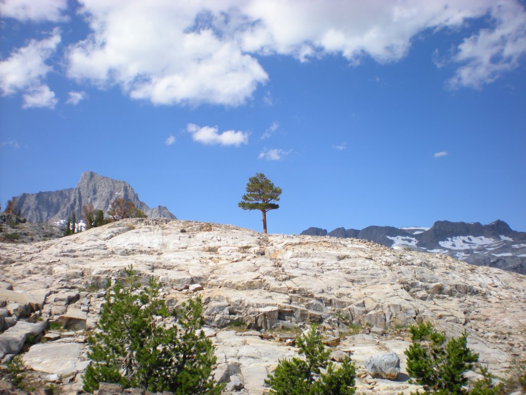 summertrip1294.jpg