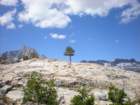 summertrip1294_small.jpg