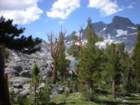 summertrip1313_small.jpg