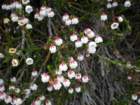 summertrip1319_small.jpg
