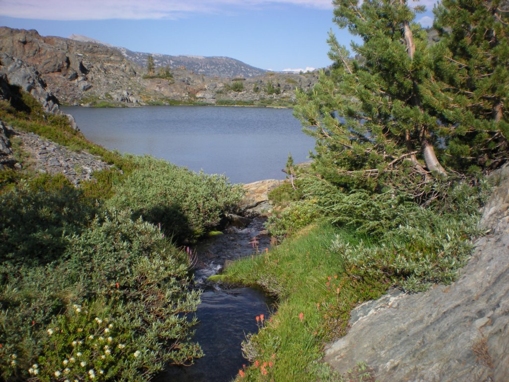 summertrip1363.jpg
