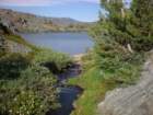 summertrip1363_small.jpg