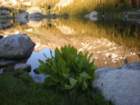 summertrip1415_small.jpg