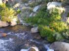 summertrip1420_small.jpg