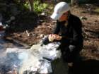 summertrip1431_small.jpg