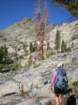 summertrip1434_small.jpg