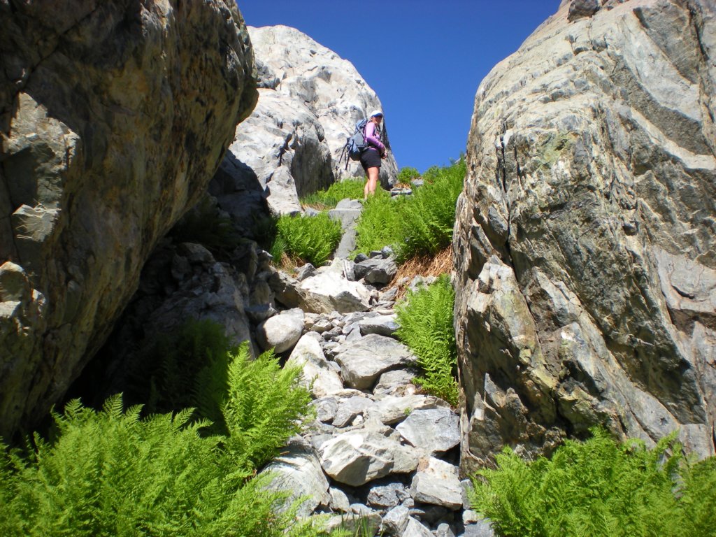 summertrip1438.jpg