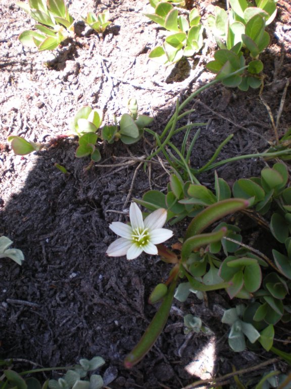 summertrip1443.jpg