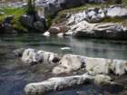 summertrip1522_small.jpg