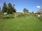 summertrip1564_small.jpg